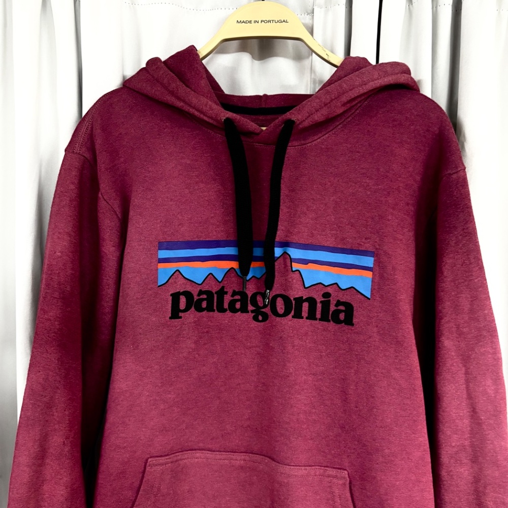 Patagonia hoodie ll